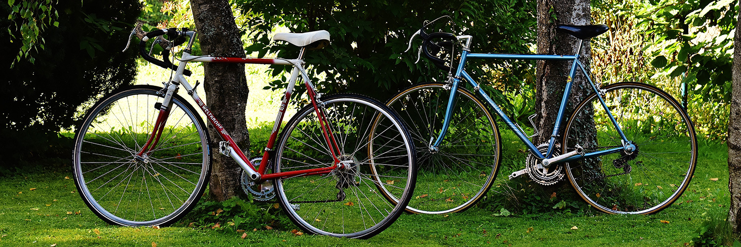 bicycle-bicycles-bike-163329.jpg