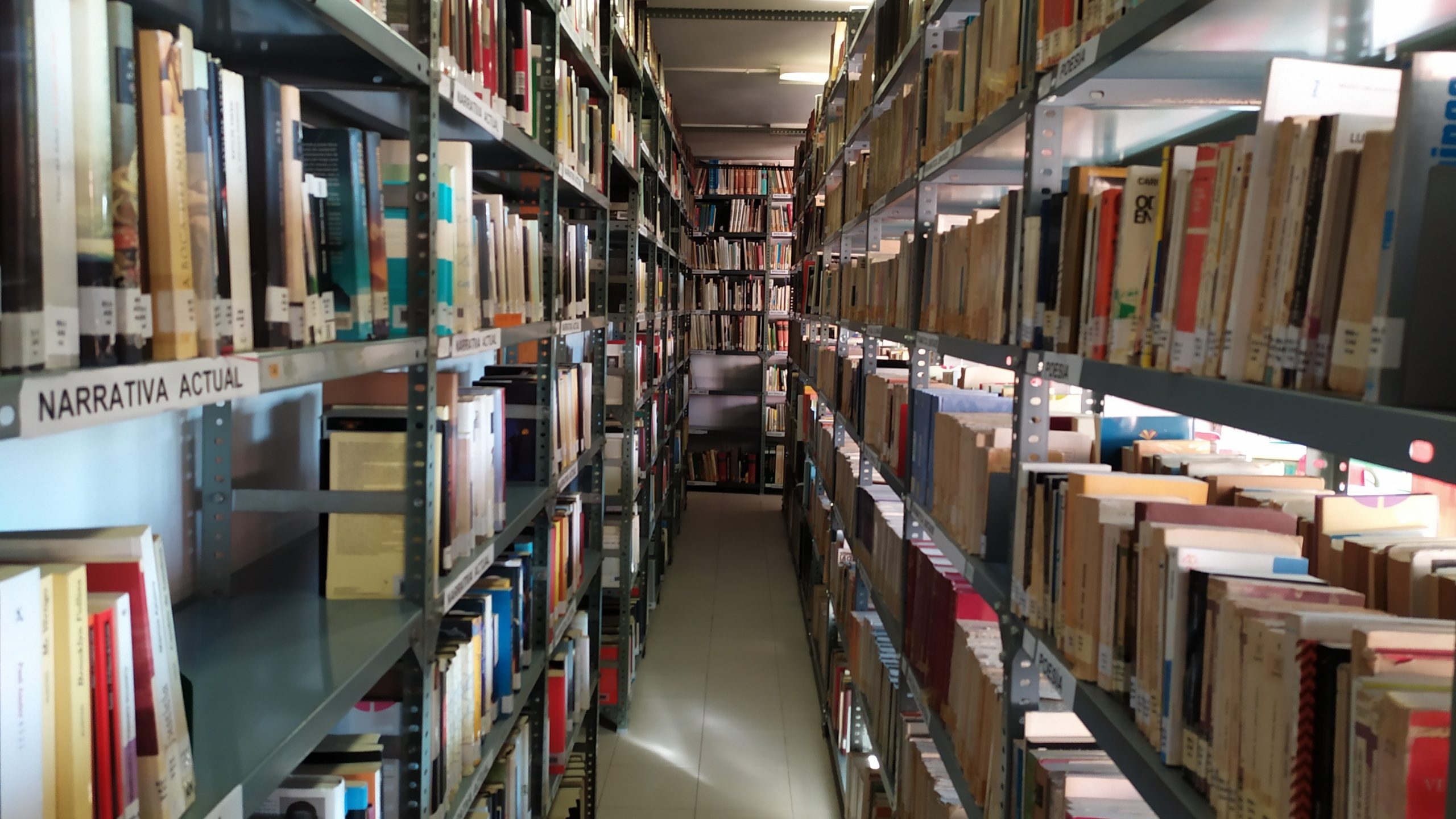 estanterías con libros